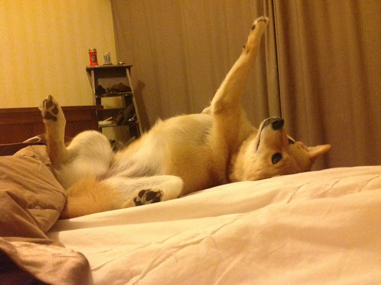 无声者宣言，抢七夜，德罗赞与那颗悬停于芝加哥上空的子弹