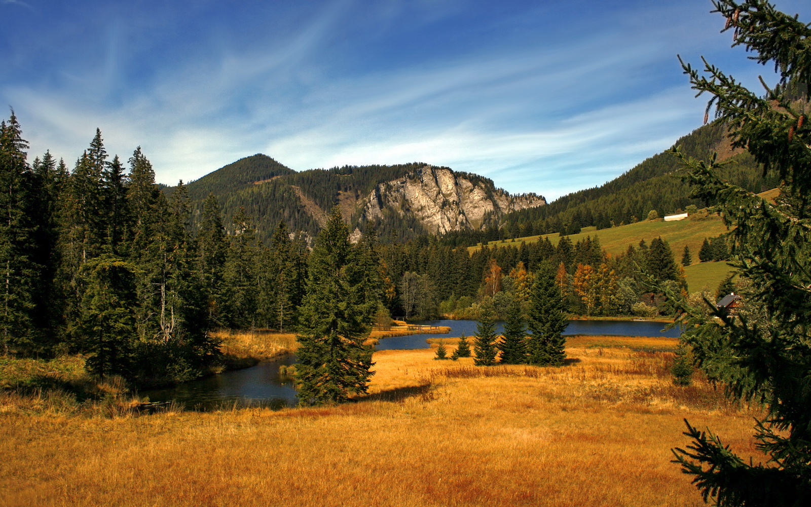 叛逆的技术流征服者，当欧陆战术板被马赛与福登撕碎