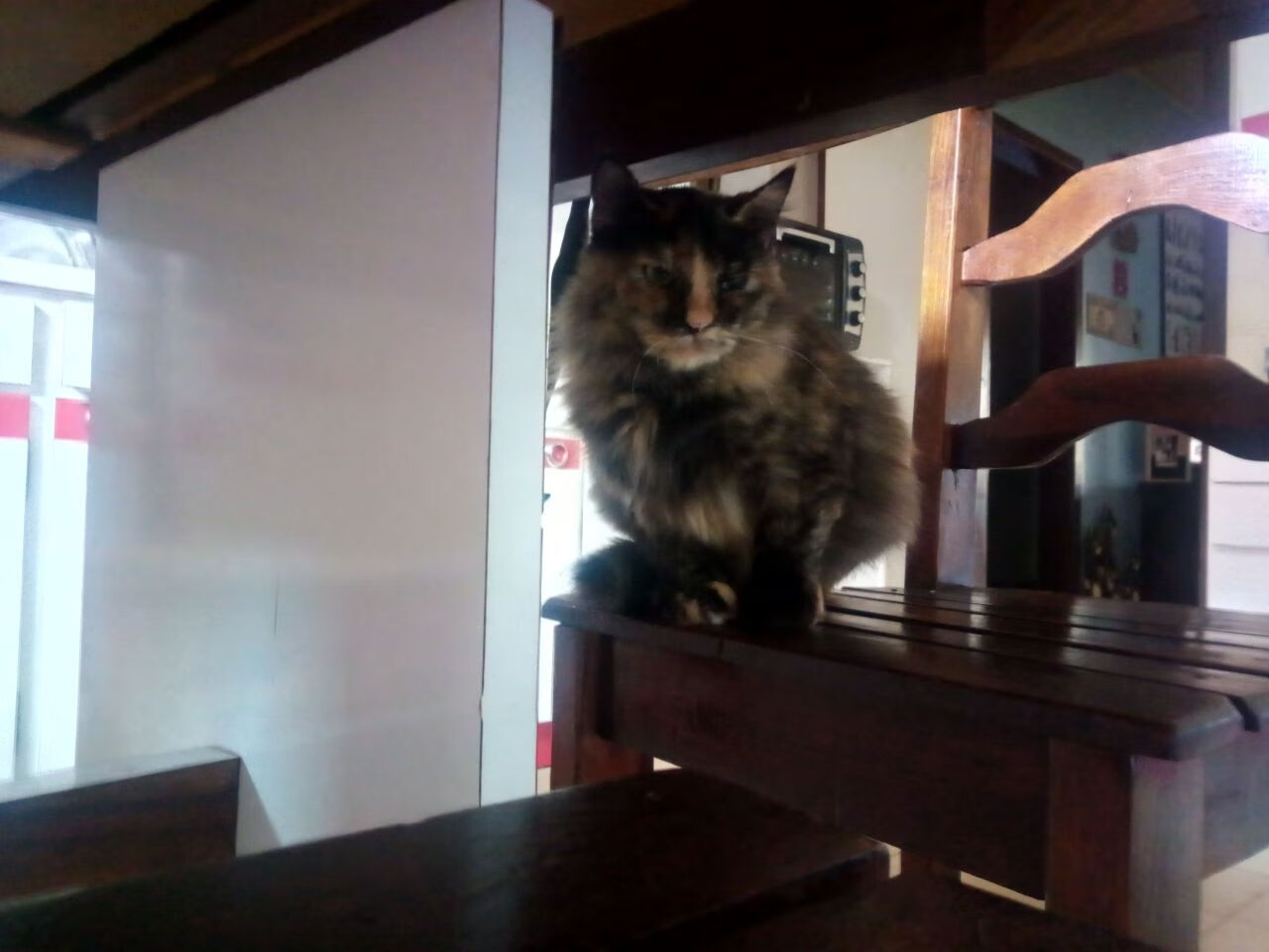 开云体育平台APP-钢铁传承，从布雷默一锤定音，到多特掀翻莱比锡