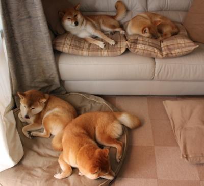 开云体育-绝境之光，洪都拉斯铁血突围克罗地亚，门神阿克一战封神