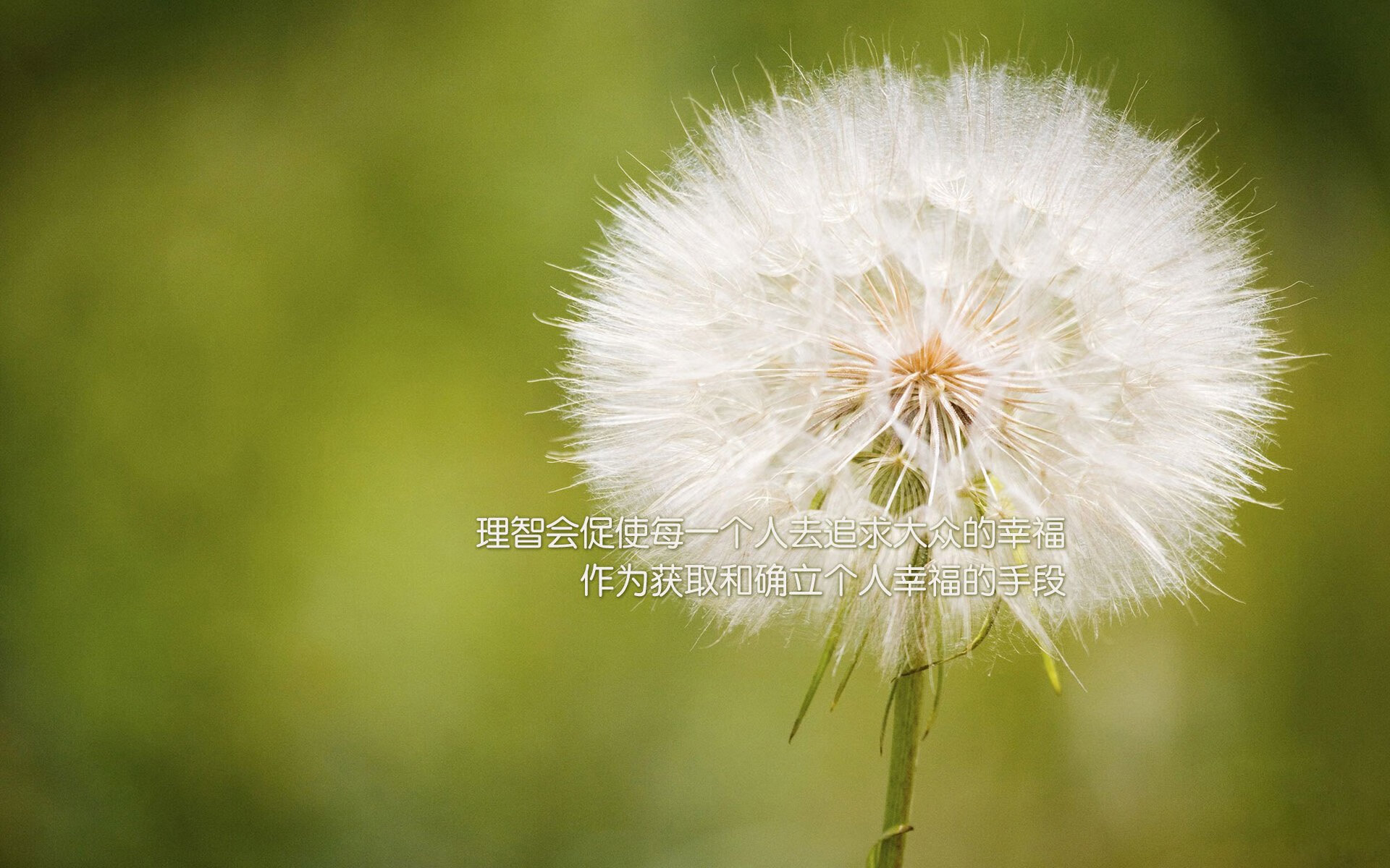 狭路相逢勇者胜,F1年度争冠之夜的铁血搏杀