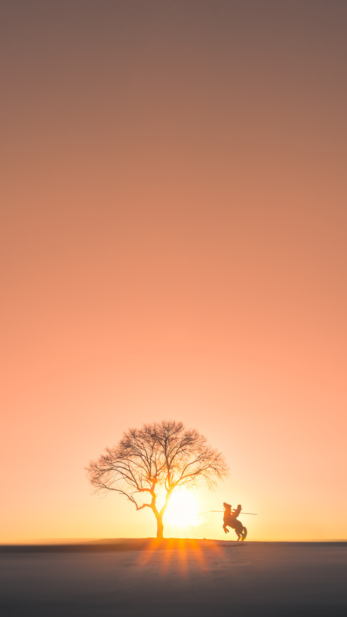 开云体育平台APP-新势力崛起，雷霆掀翻鹈鹕背后的秩序挑战