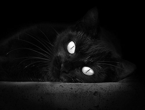 跨越东西方的制胜一跃,当小贾伦在北京的聚光灯下定义伟大