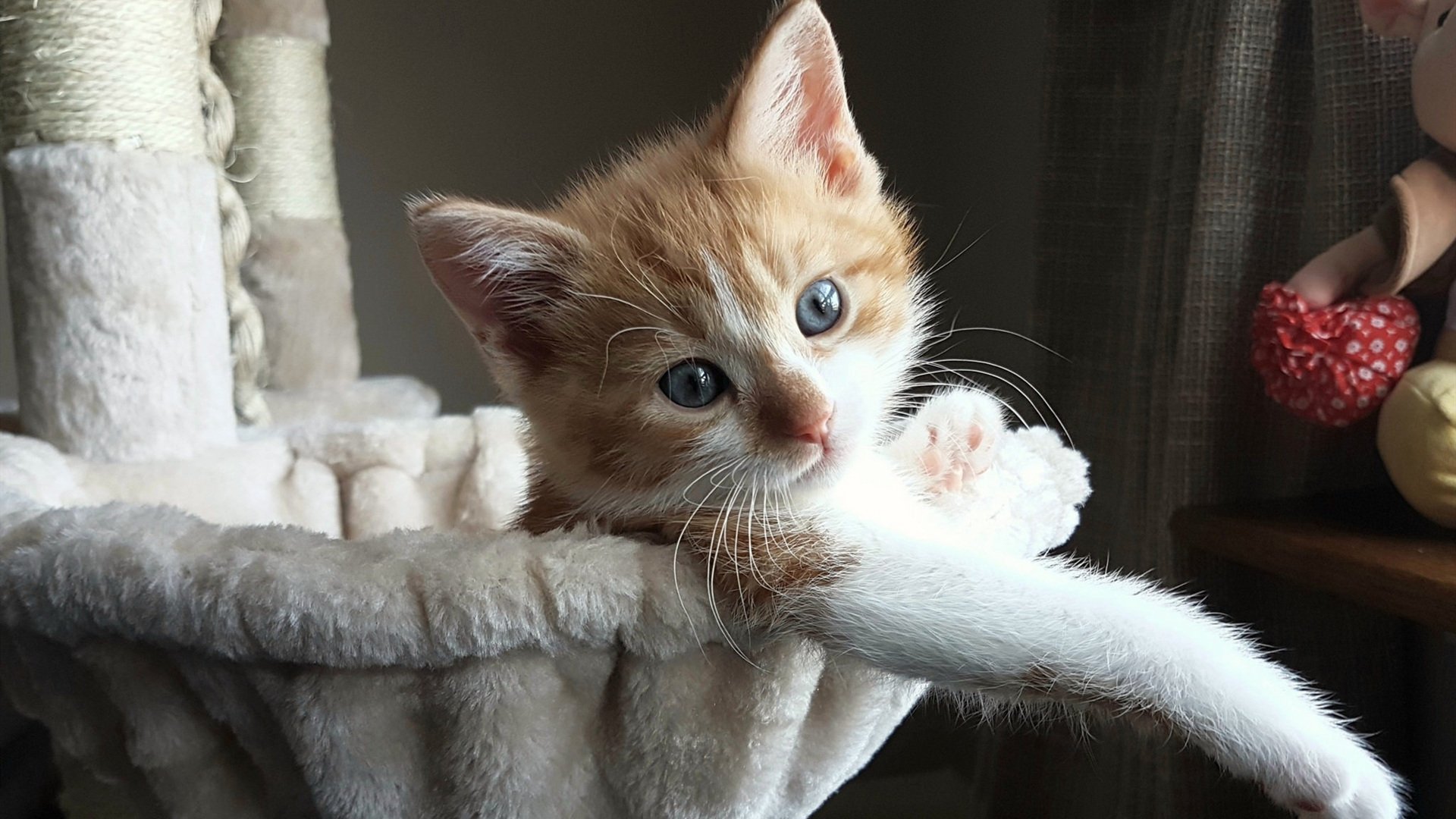 云端坠落的数据,当马克西空降辽宁对阵76人