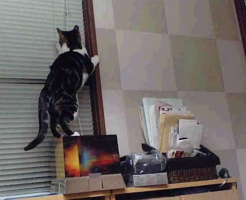 数据风暴席卷联盟!武切维奇50+20+10超级三双,吉林男篮以压倒性优势横扫费城76人!