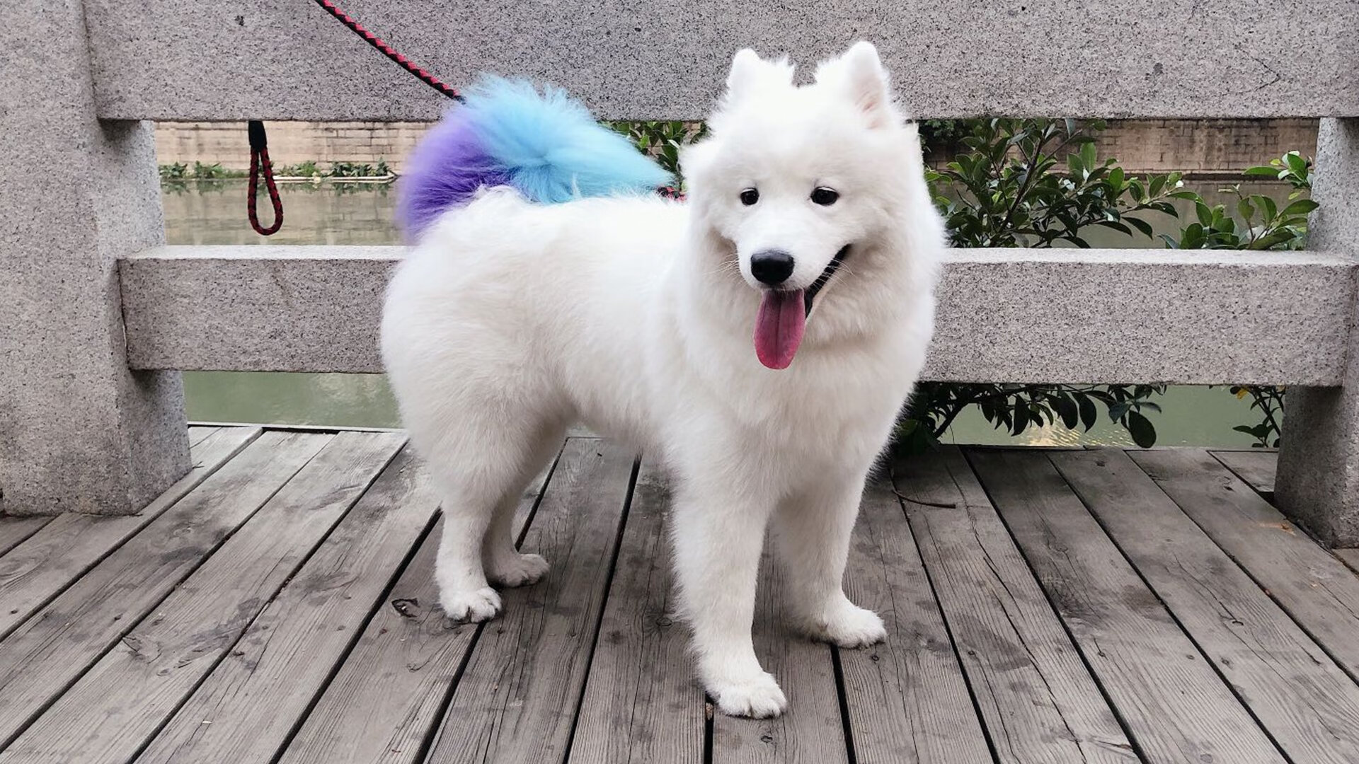 开云sport-双面足球纪元，沙特黄金梦与本泽马的黄昏之战