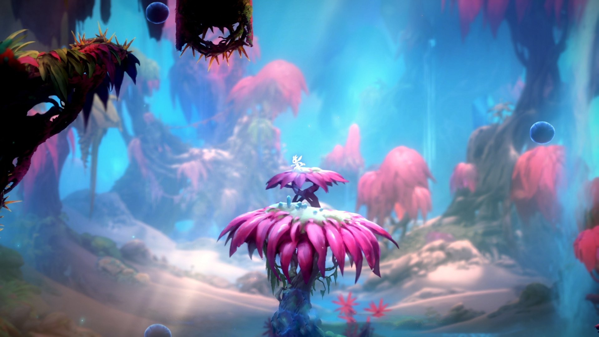 足球热浪中藏着的秘密联系，黄喜灿的利刃与哥伦比亚的风暴