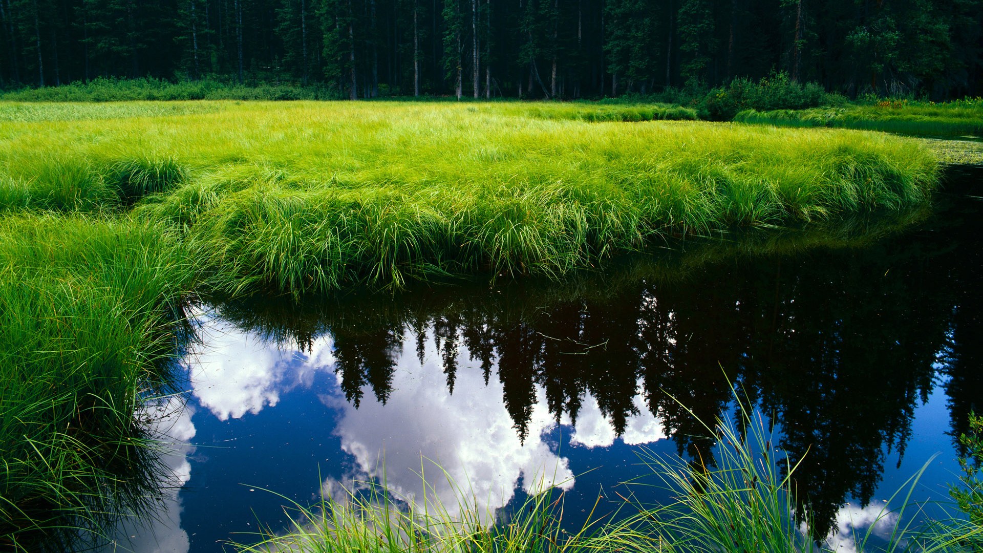 冰岛之心，极寒淬炼出的险胜哲学与关键时刻的不屈凯恩