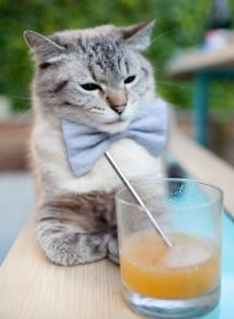 开云sport-双面棱镜，湖人的节奏掌控与布克的欧冠接管时刻