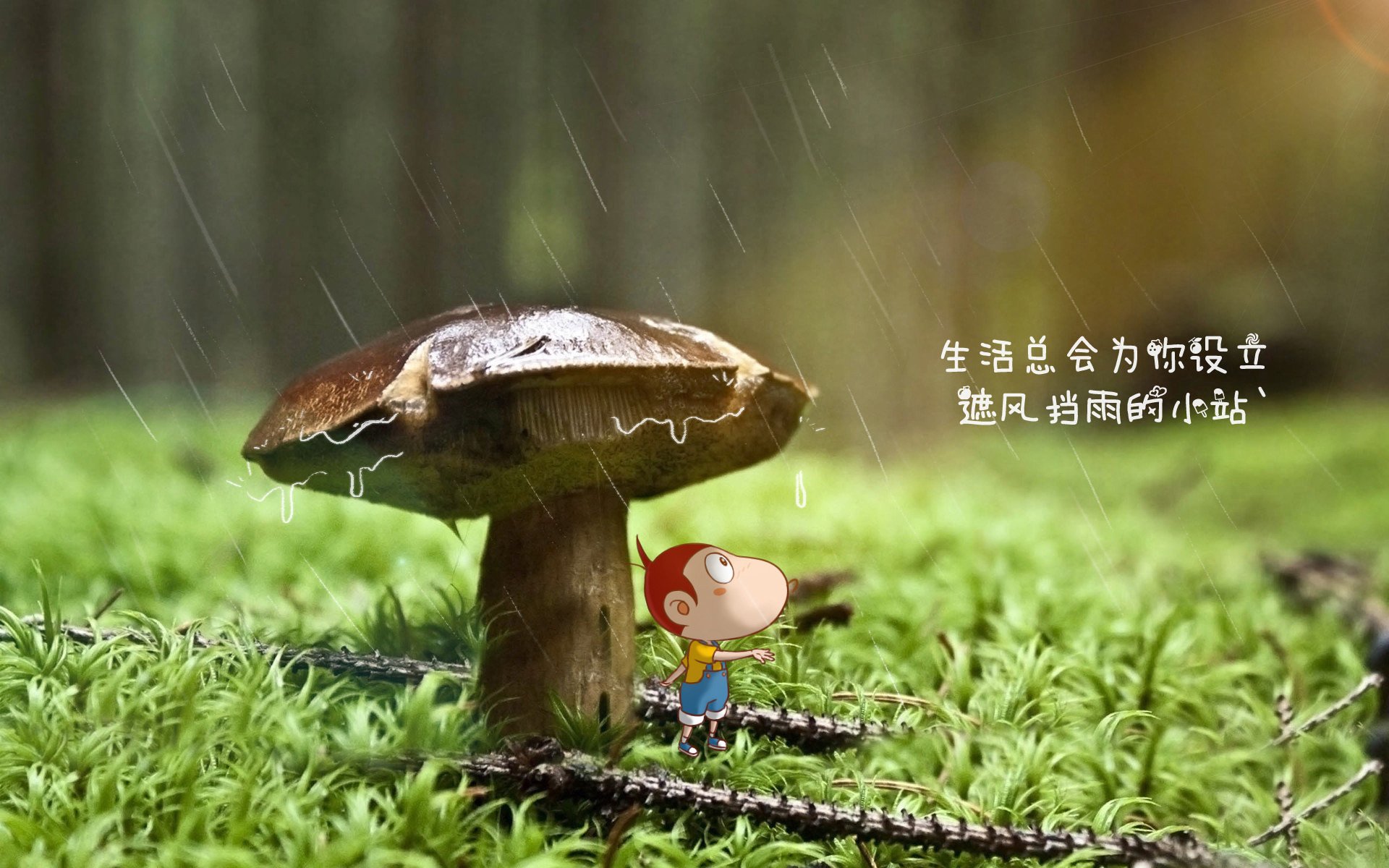 开云体育APP下载-唯一性的证明，2026世界杯，魔笛外脚背的绝唱，葡萄牙加纳之战的老将独舞